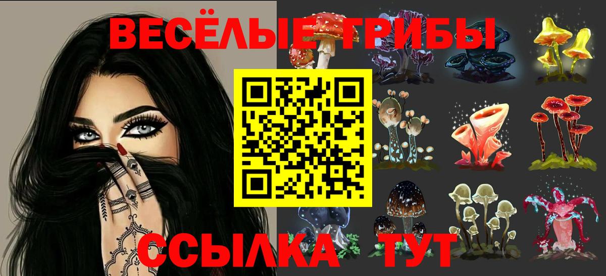 Псилоцибиновые грибы Magic Shrooms  Вход с VPN  Сосновоборск  Галлюциногенные грибы Psilocybe 